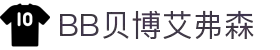中国·BB贝博艾弗森(股份)有限公司-官方网站